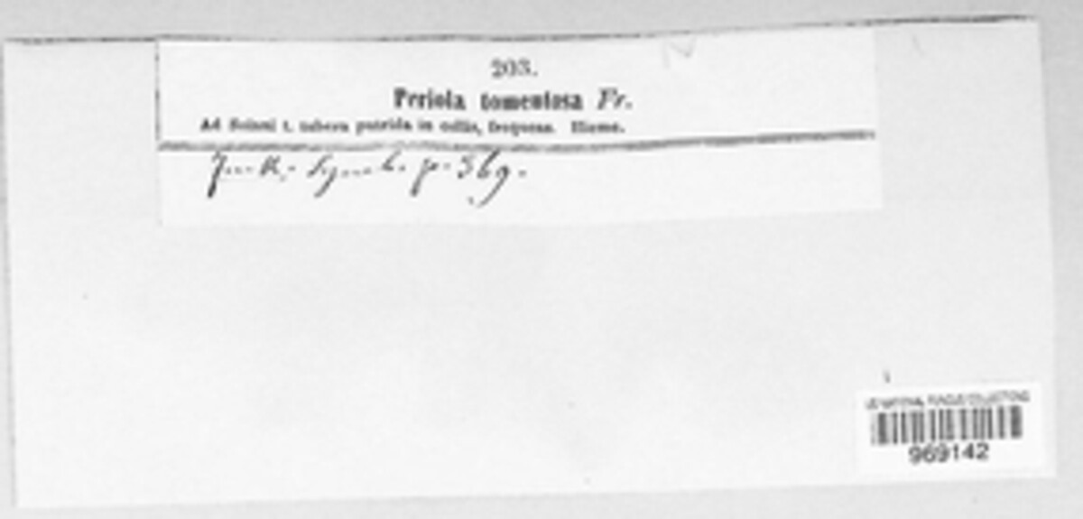 Periola image